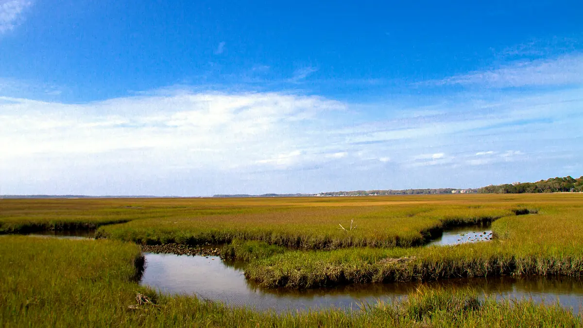 Marisma de Amelia Island bajo un cielo despejado