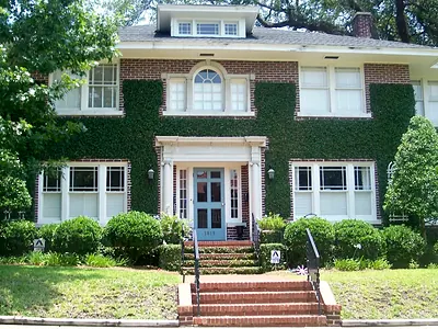 Ivy-covered brick home on a tree-lined street in Avondale
